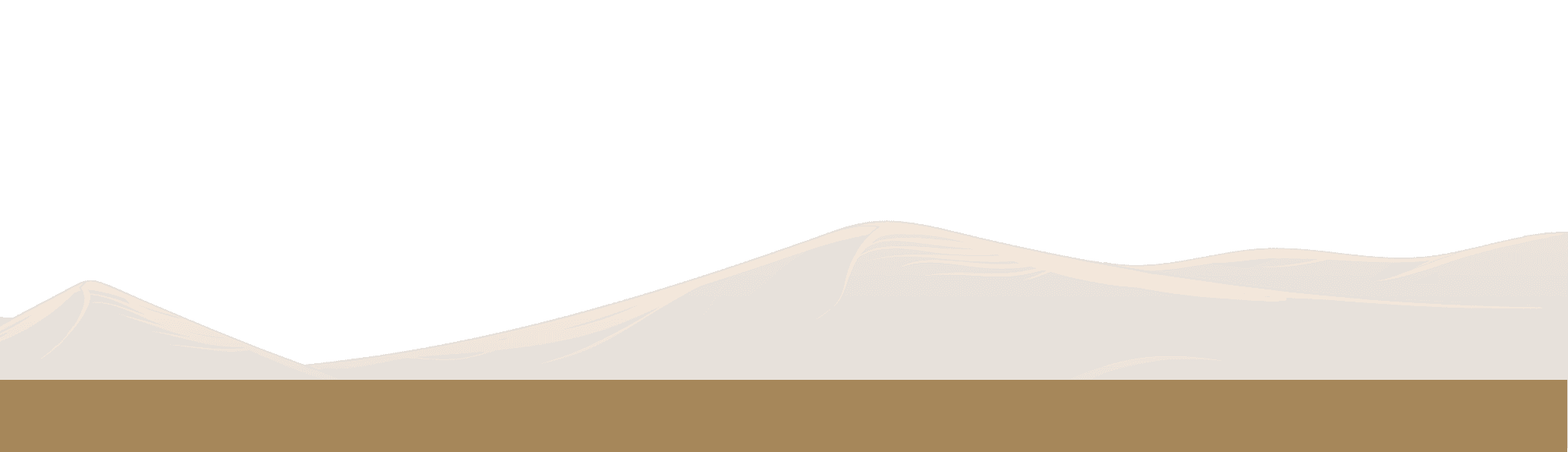 Camel About Section Background
